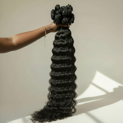 BURMESE CURLY